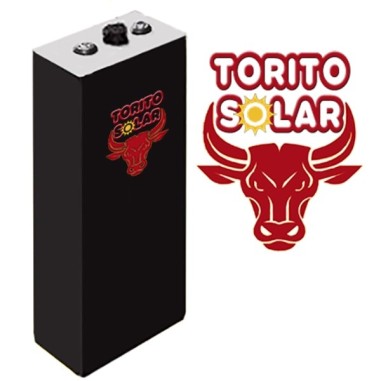 Elemento Torito solar 2V/1880Ah C100